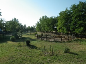 Le terrain d'entrainement chez András