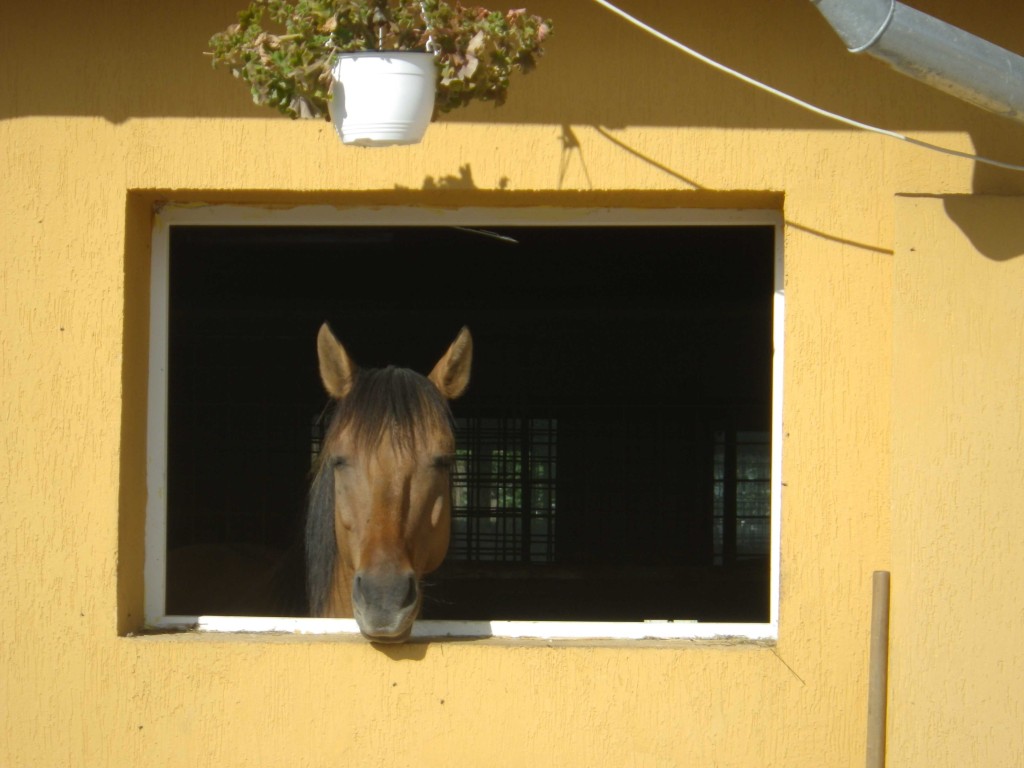 2013_0922_FR-Bátor-0184-W