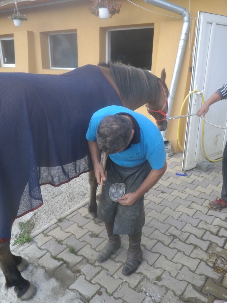 2013_0922_FR-Bátor-0210-W