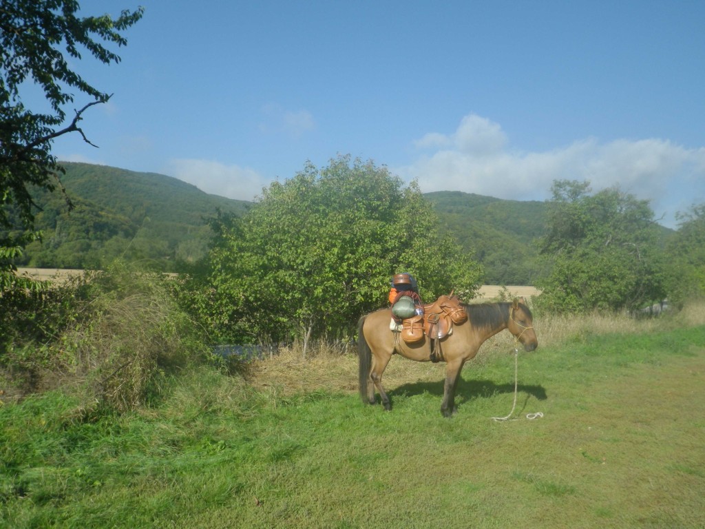 2013_0922_FR-Bátor-0220-W