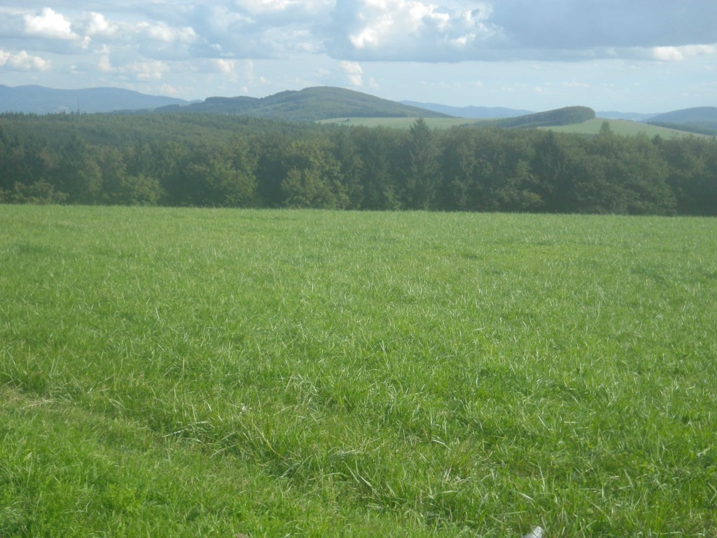 2013_0922_FR-Bátor-0221-W