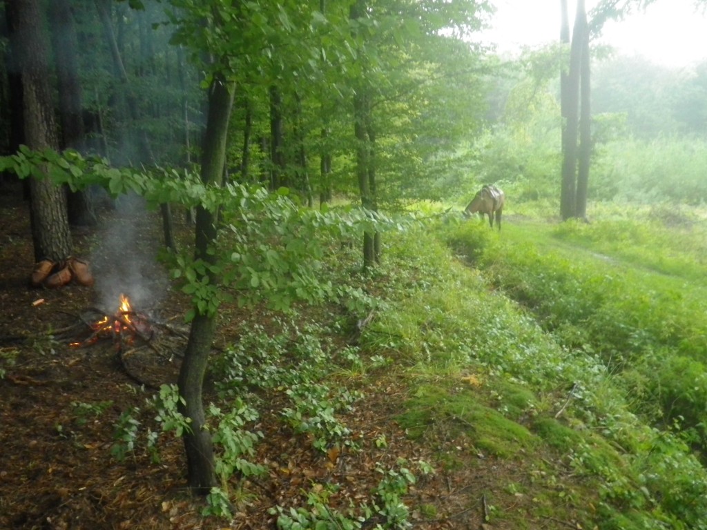 2013_0922_FR-Bátor-0225-W