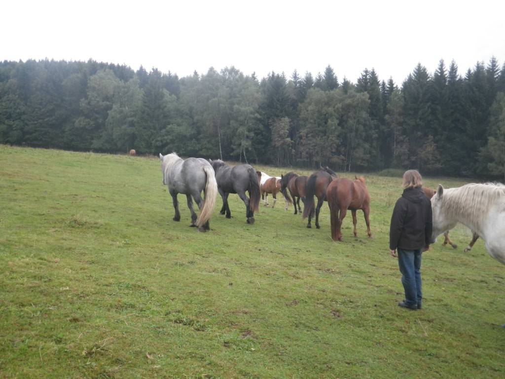 2013_0922_FR-Bátor-0267-W